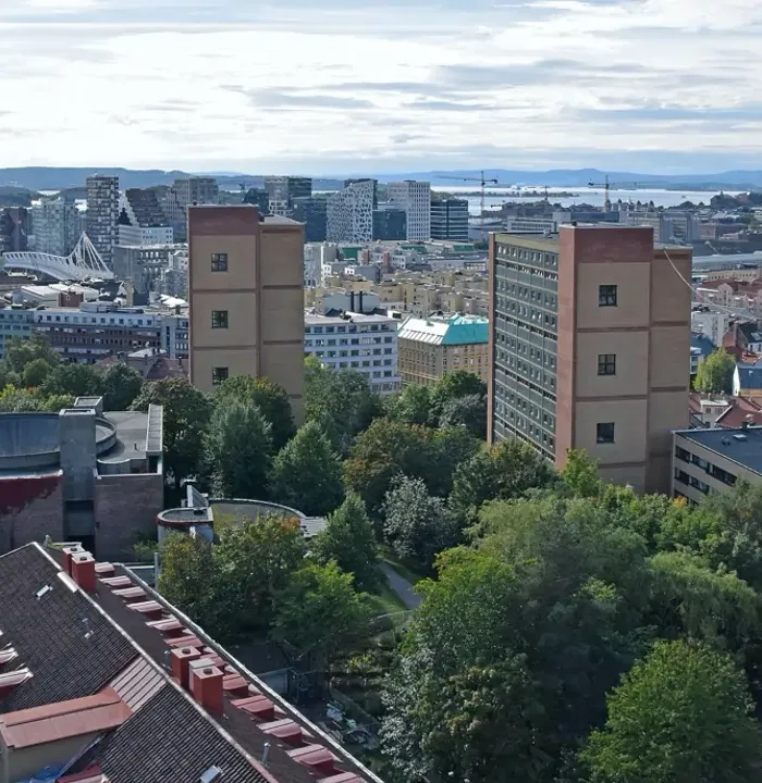 Zero Plastic Cities Are the Future